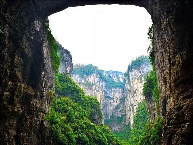 机智问答网页-全面解答你的疑问-可爱吗!可爱吗!可爱吗!